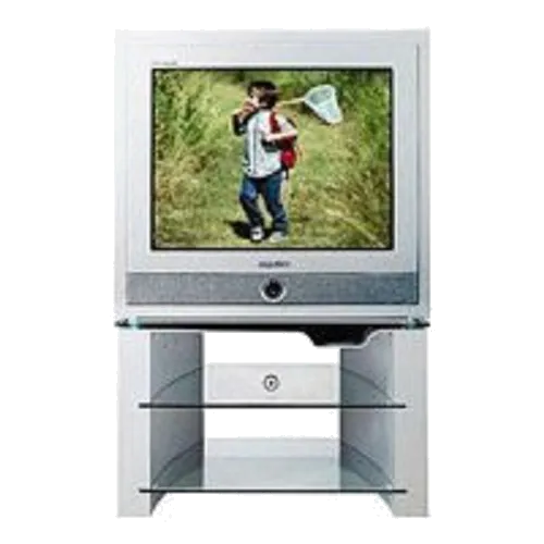 Замена аудиоразъема Samsung CS-29Z6HPQ